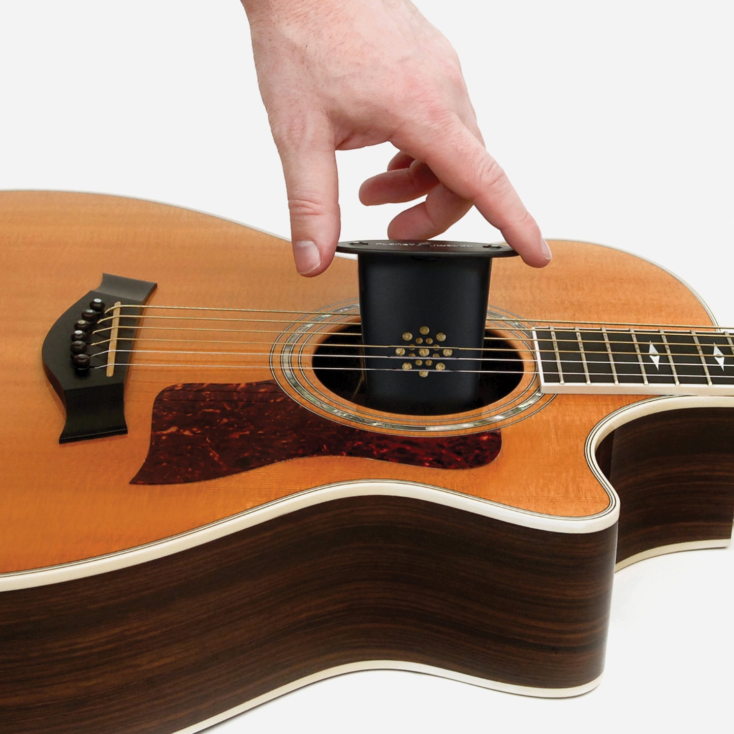 D'Addario Acoustic Guitar Humidifier, GH