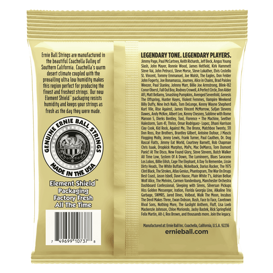 Ernie Ball 2013 Custom Light Earthwood 80/20 Bronze 12-String Acoustic Strings, 10-48