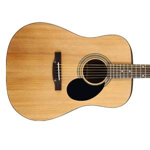 Acoustic Guitars