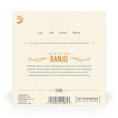 D'Addario EJ63i Irish Tenor Banjo Strings, Nickel, 12-36