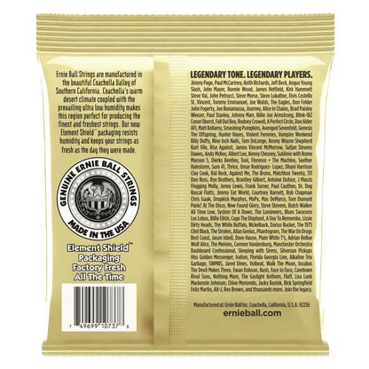 Ernie Ball 2013 Custom Light Earthwood 80/20 Bronze 12-String Acoustic Strings, 10-48