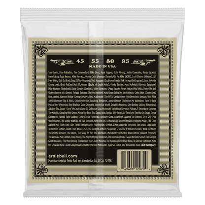 Ernie Ball 2070 Earthwood Phosphor Bronze Acoustic Bass Strings, 45-95