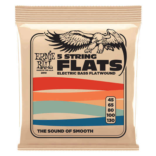 Ernie Ball 2810 5-String Stainless Steel Flatwound Electric Bass, 45-130