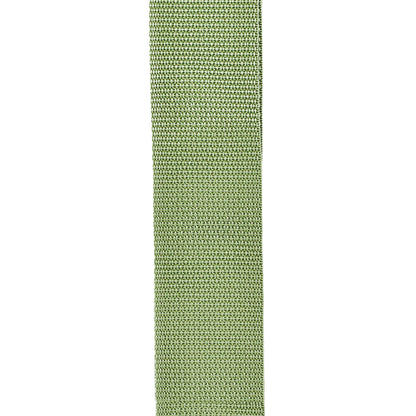 D'Addario Polypropylene Guitar Strap, Green, PWS107