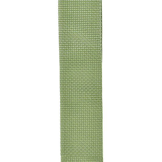 D'Addario Polypropylene Guitar Strap, Green, PWS107