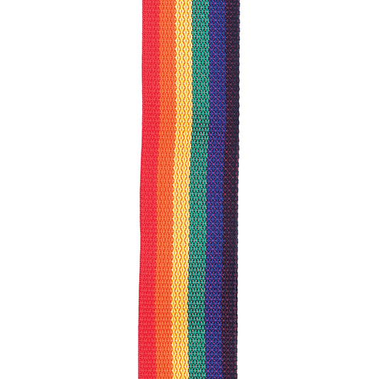 D'Addario Polypropylene Guitar Strap, Rainbow, PWS111