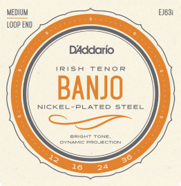 D'Addario EJ63i Irish Tenor Banjo, Nickel, 12-36