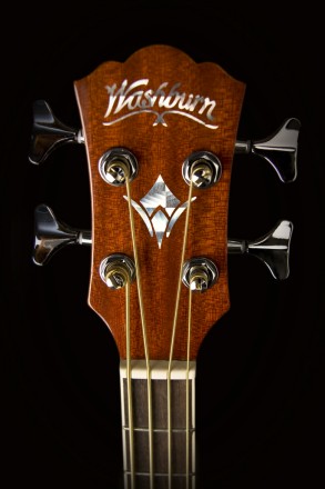 Washburn AB5K-A-U Acoustic Bass with Bag