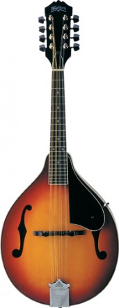 Washburn M1S-A-U Acoustic Mandolin Sunburst