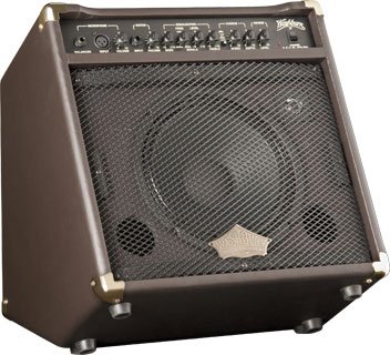 Washburn WA30 30 Watt Acoustic Amplifier