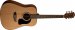 Washburn AD5K-A-U Apprentice Series Acoustic Guitar w/ Case